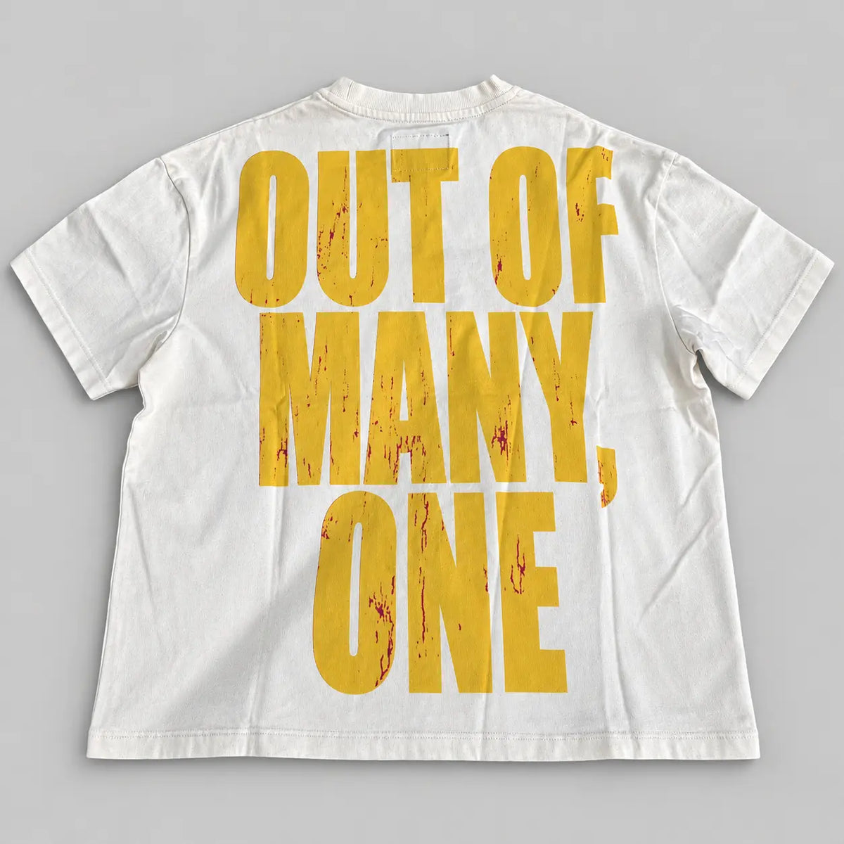 Godspeed Out Of Many One Tee White back studio view